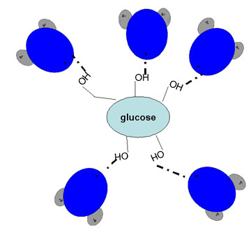 glucose in water