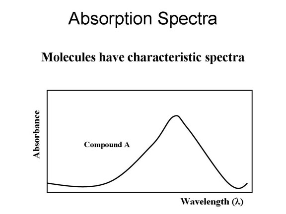 Absorption spectra