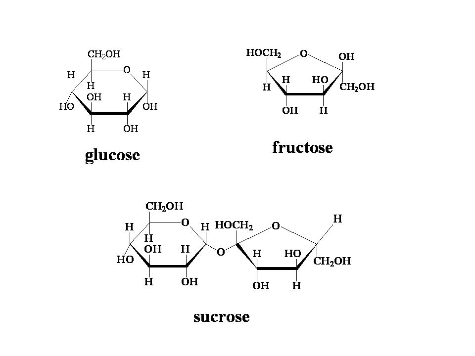 Simple Sugars: Fructose, glucose and sucrose